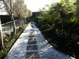 Awarua White 19mm